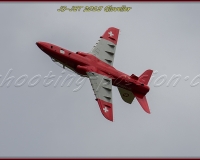 2GLOVELIER 1354